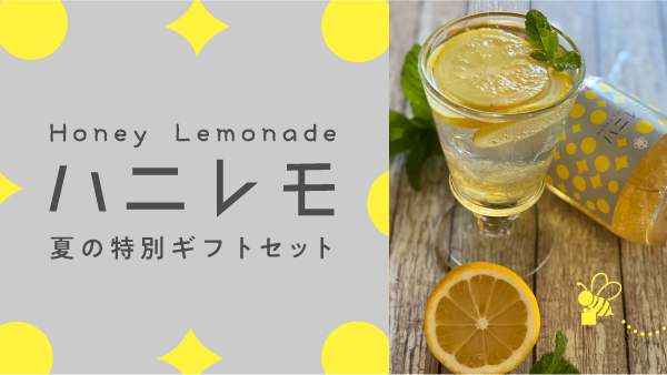 おうちハニレモセット