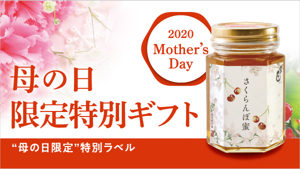母の日限定特別ギフト