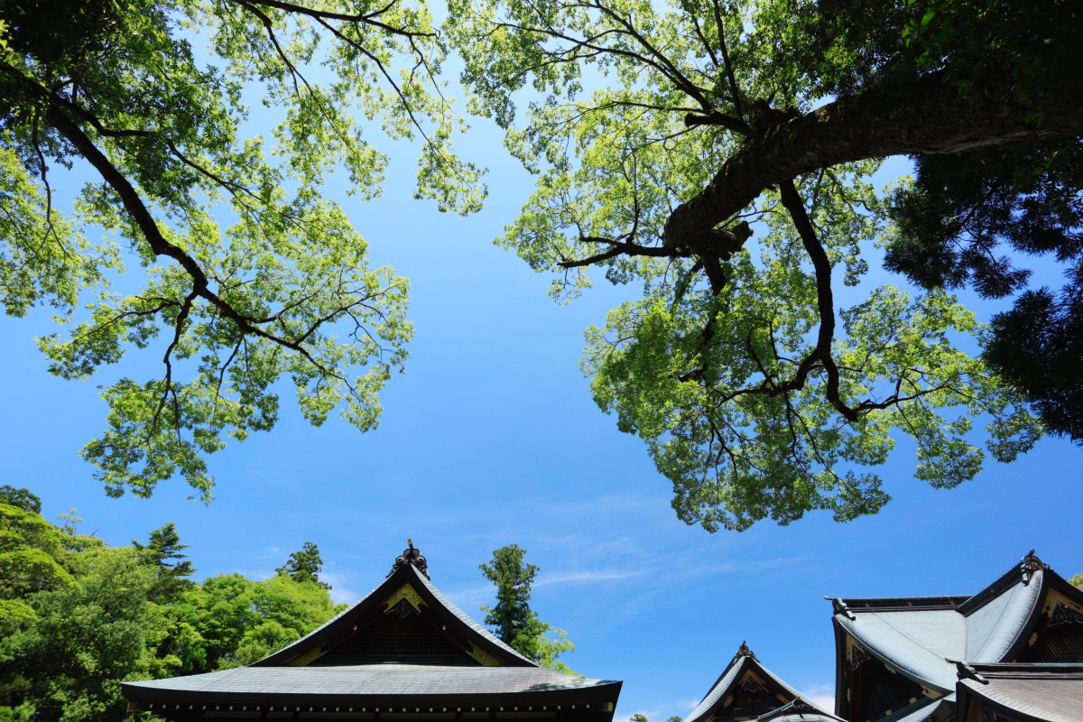 国産はちみつの通販 | はちみつ屋 松治郎の舗