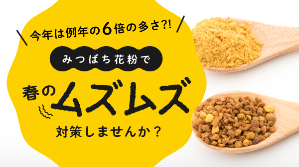 みつばち花粉