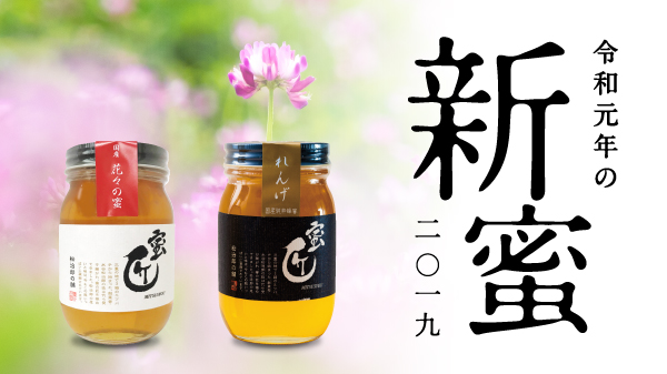 令和元年の新蜜