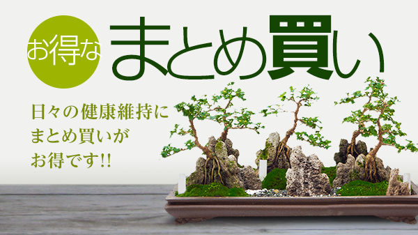 お得なおまとめ買い商品