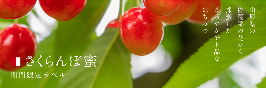 【限定】蜜匠 国産「さくらんぼ」はちみつ 180g(箱付き)