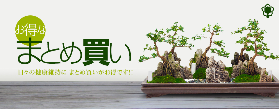 ローヤルゼリー スーパー600(120粒) 3袋セット
